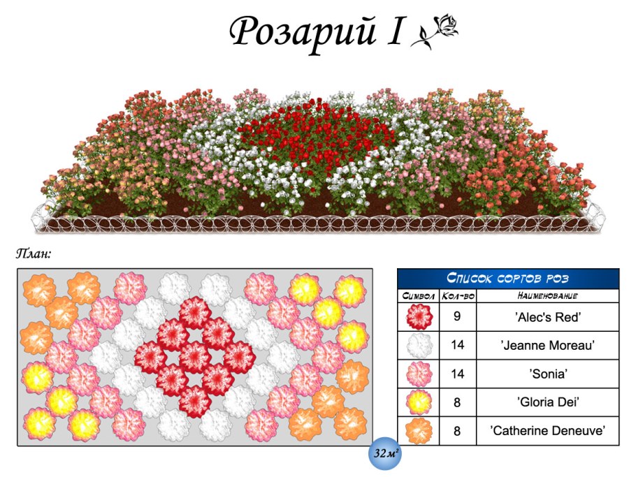 Розарий схемы посадки