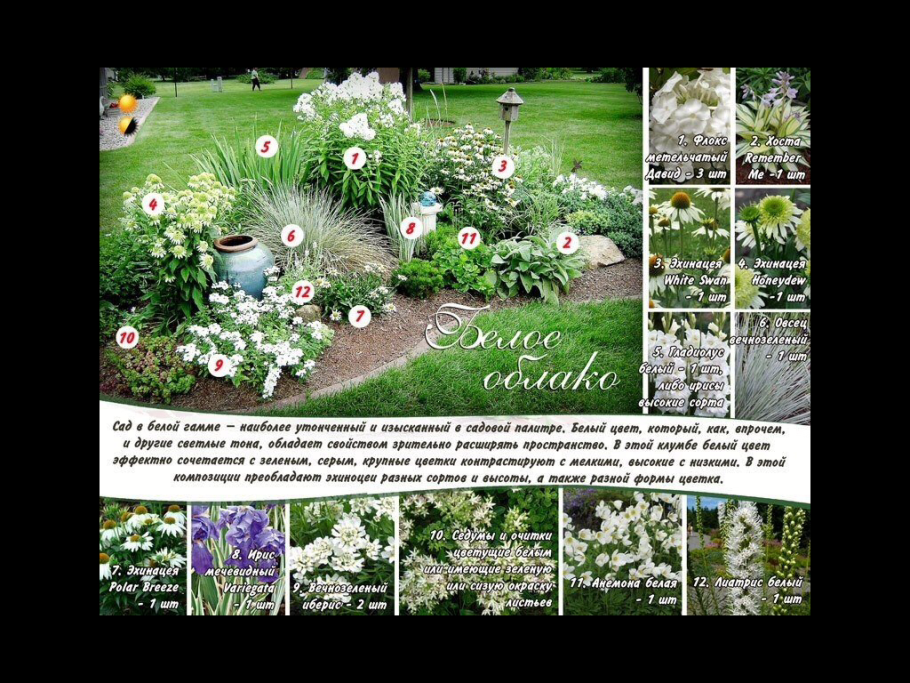 Описание клумбы