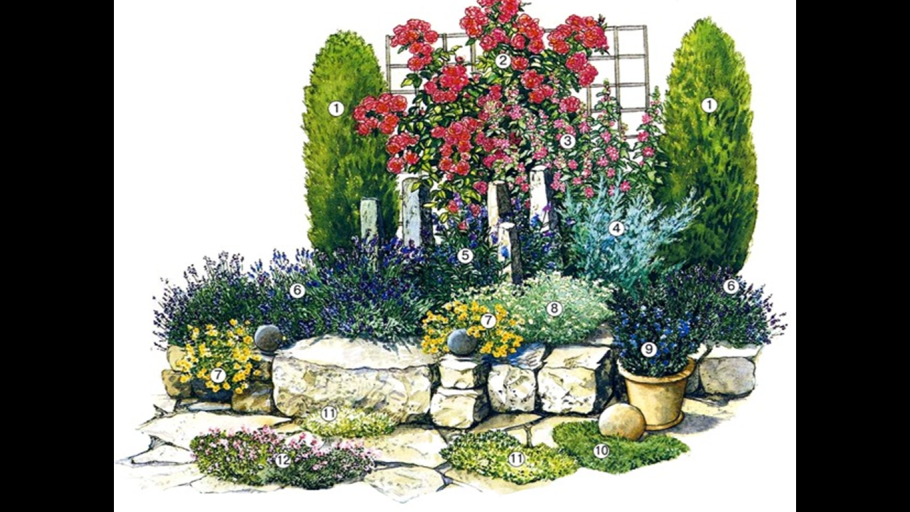 Рабатка из многолетников непрерывного цветения