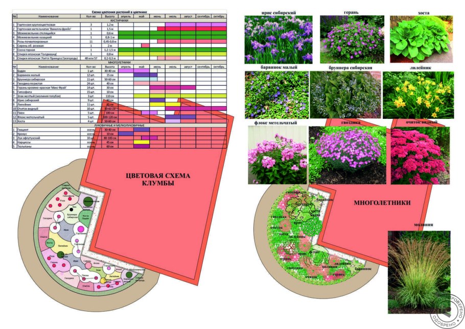 Проект клумбы