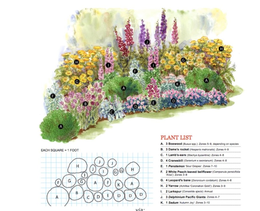 Схема цветника миксбордера