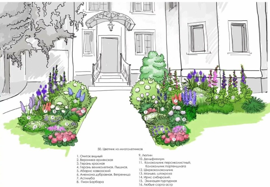 Миксбордер вдоль забора схема посадки