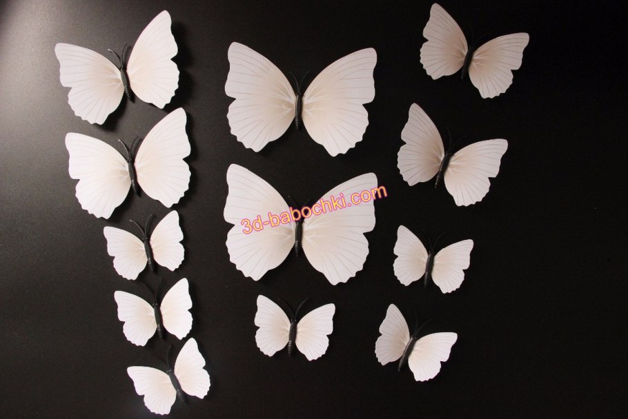 Бабочки в рамке на стену