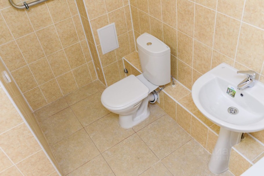 МОП брусника