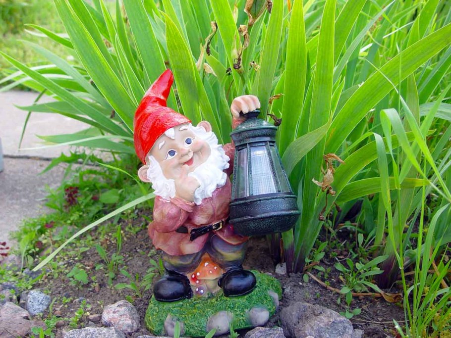 Вертикальное Озеленение гномик Гном