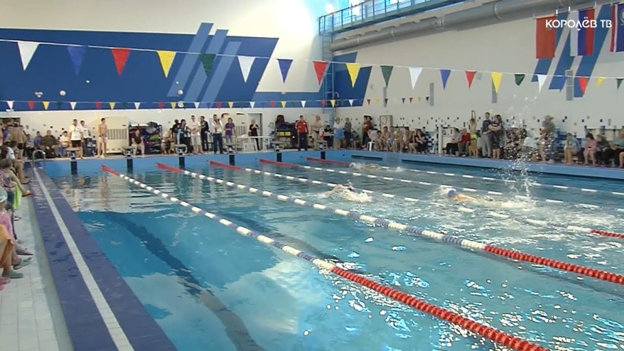 Филипс 8809 разъемы