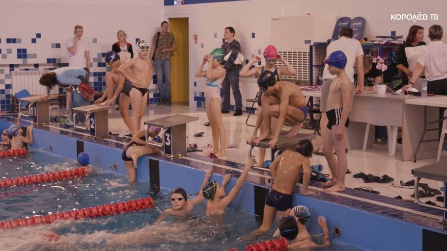 Тренеры бассейн Чайка