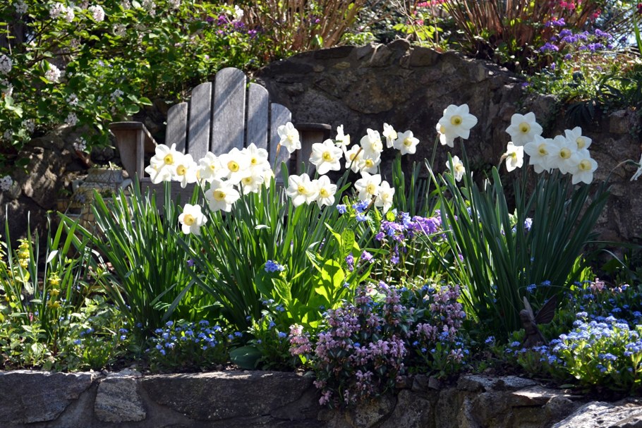 Цветы в саду