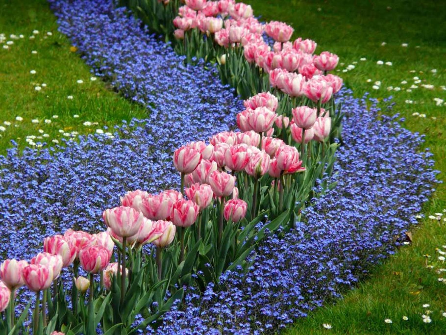 Клумбы на даче