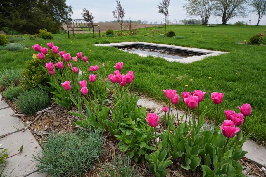 Галина Сазонова, ландшафтный Архитектор