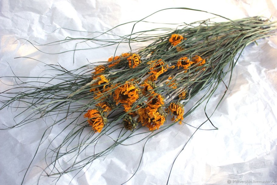 Сухоцветы маленькие