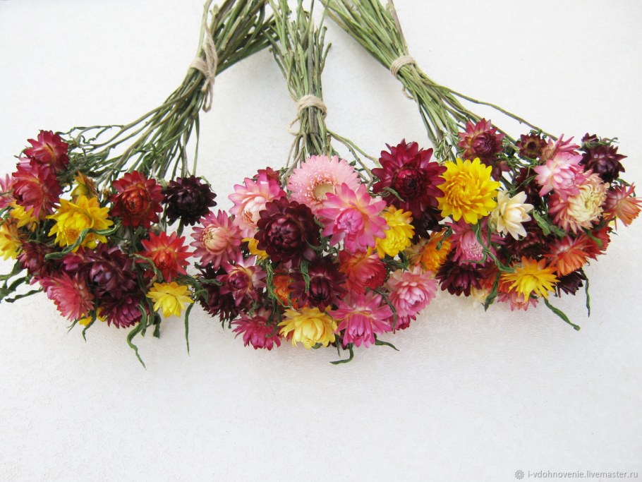 Тысячелистник таволговый сухоцвет