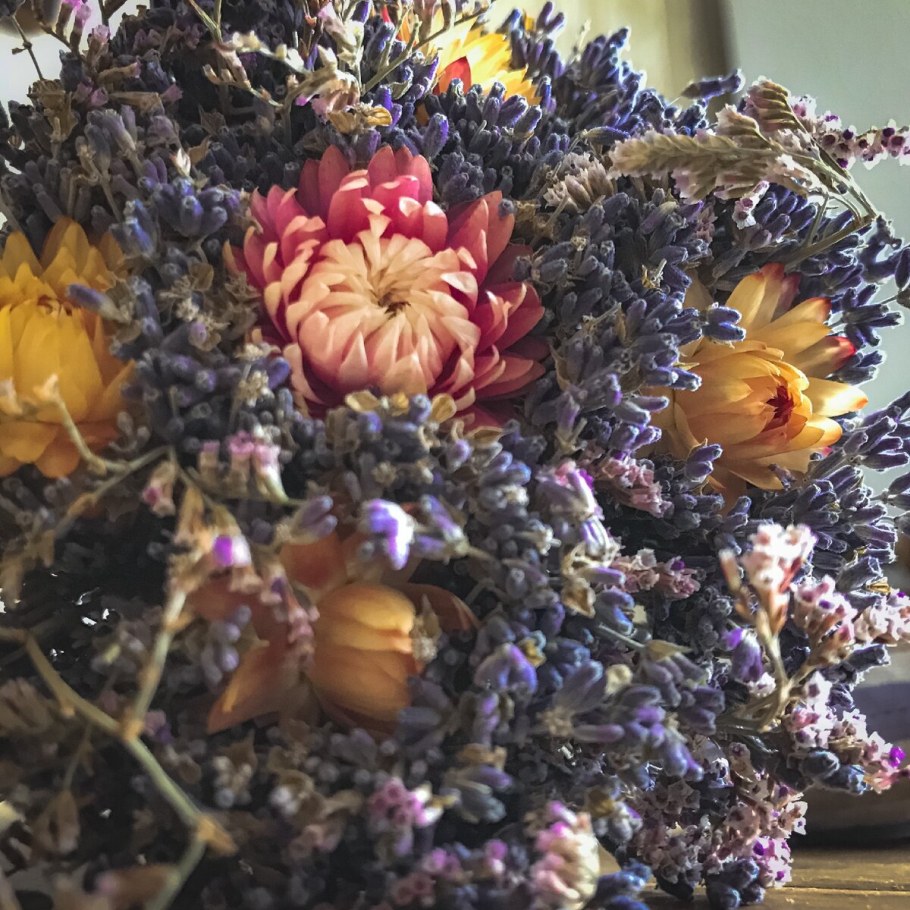 Тритикум cухоцвет