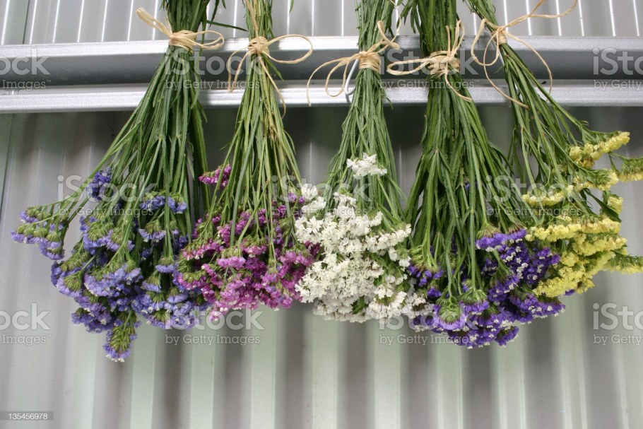 Букет сухоцветов "пшеница"