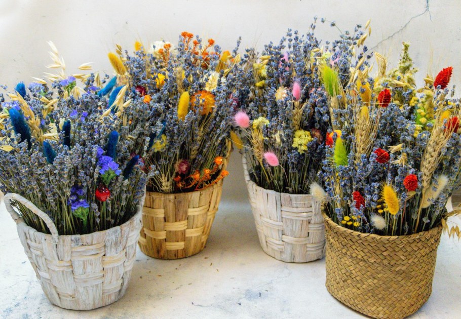 Лаванда сухоцвет в кашпо