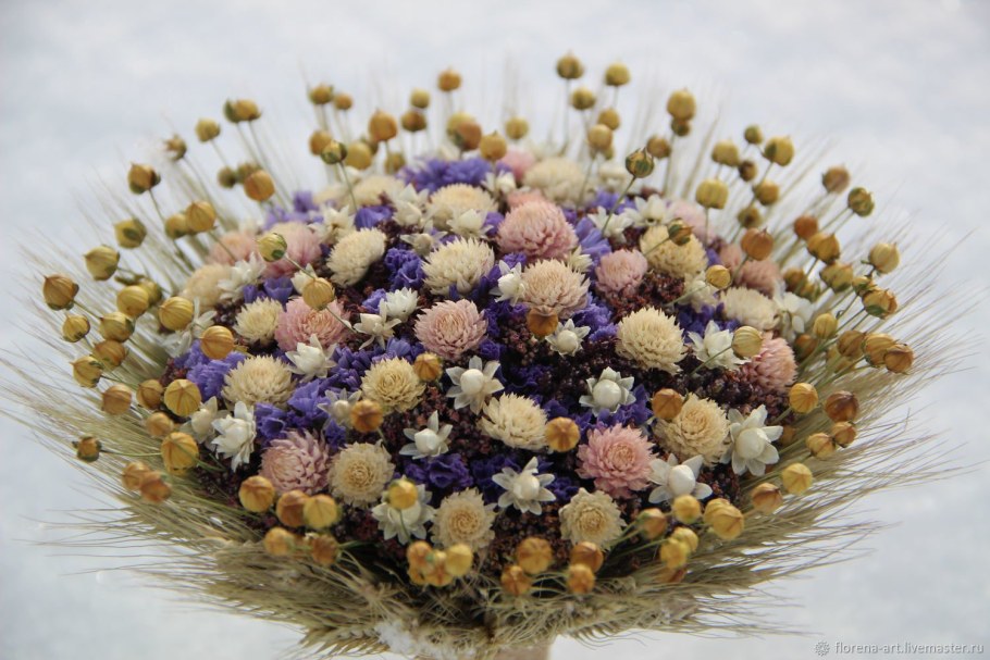 Лен сухоцвет