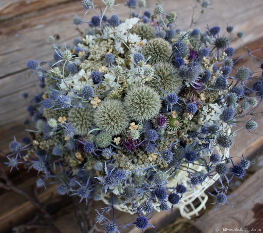 Эрингиум синеголовник сухоцвет