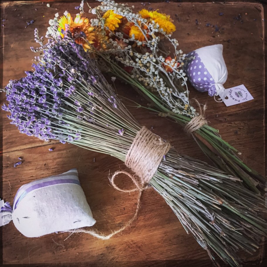 Берк сухоцвет