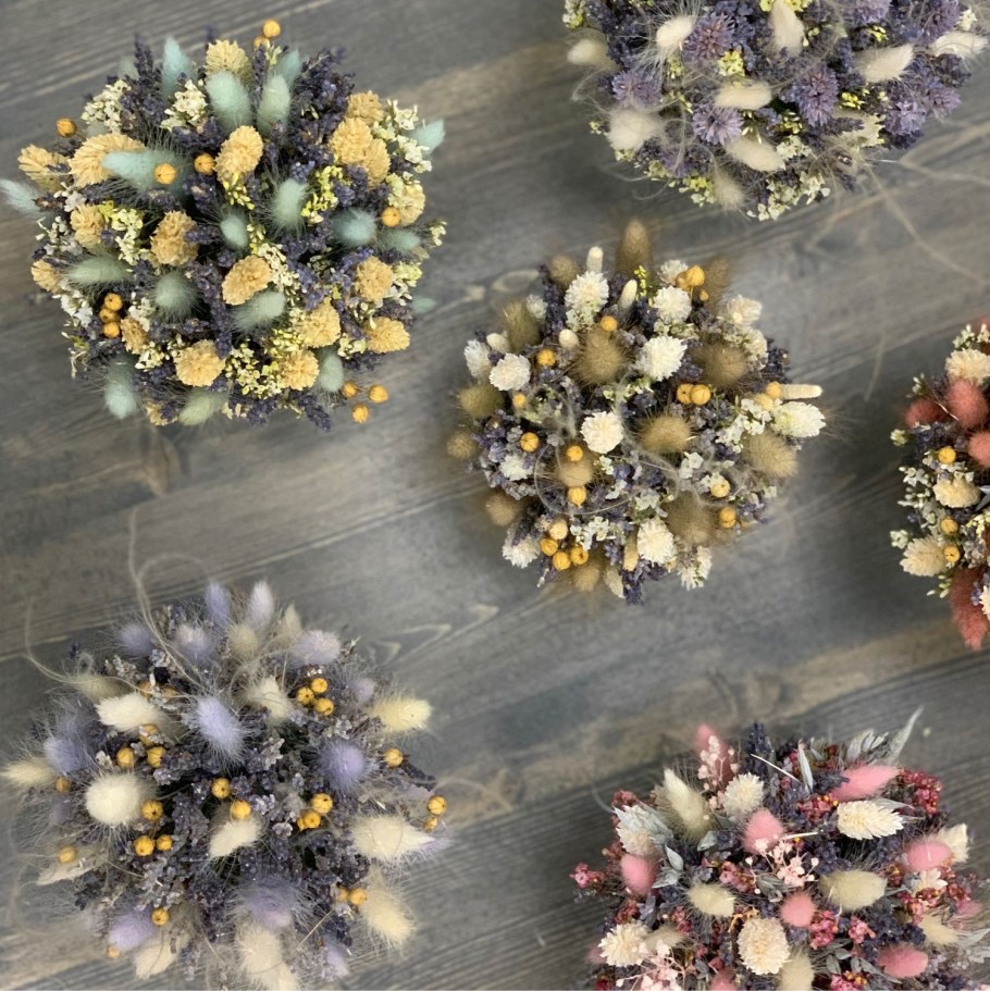 Цинии сухоцветы