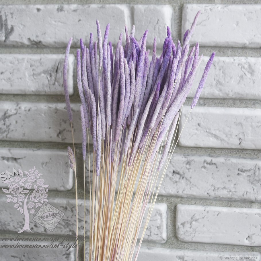 Гомфрена сухоцвет в букете