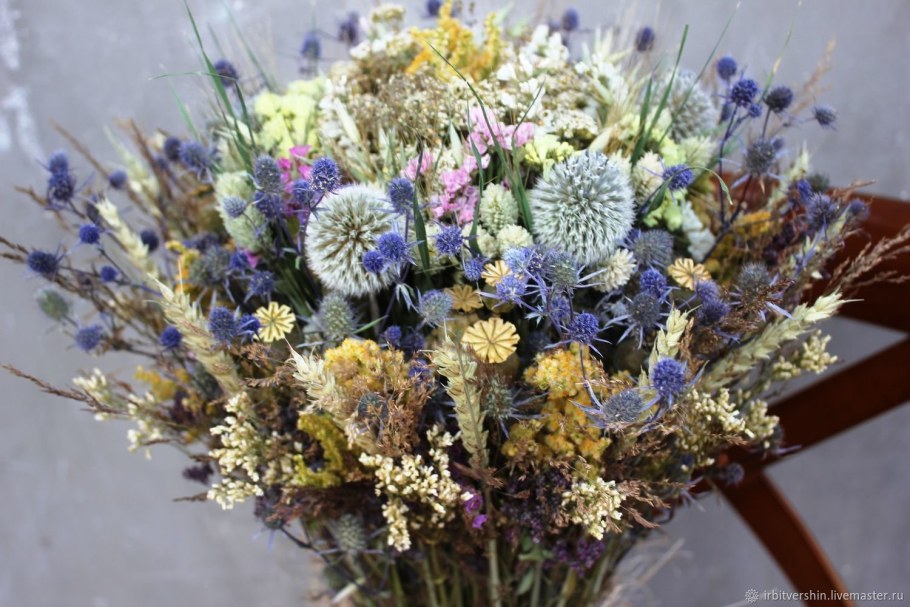 Статица и гелихризум