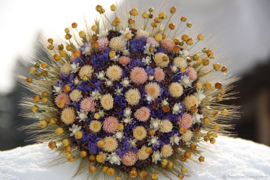 Скимия сухоцвет