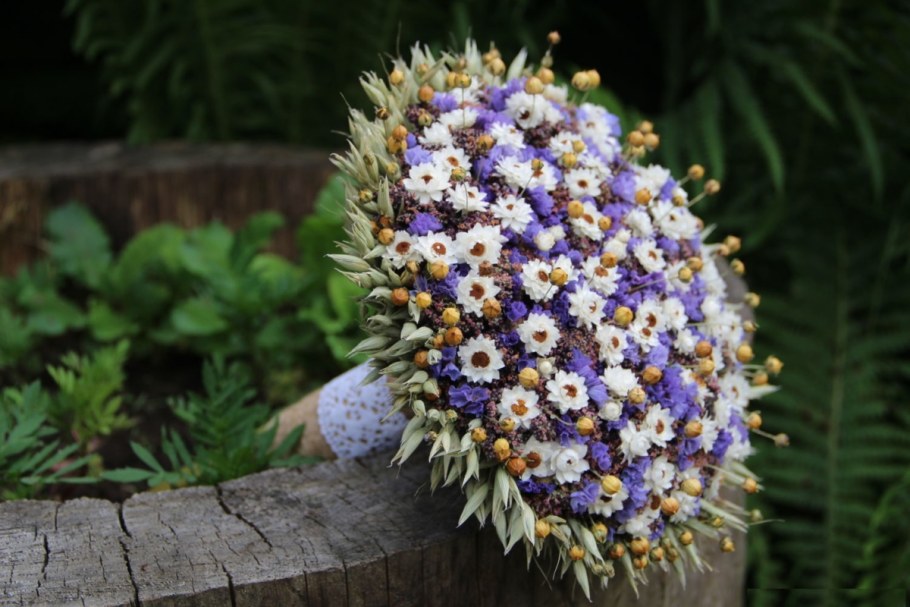 Берк сухоцвет