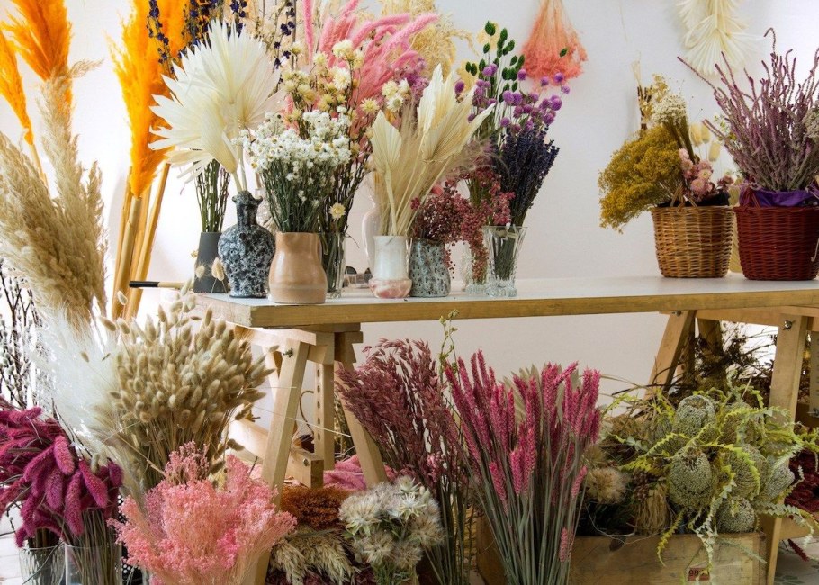 Кермек статица