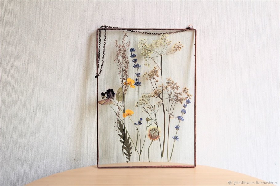 Гербарий в стекле