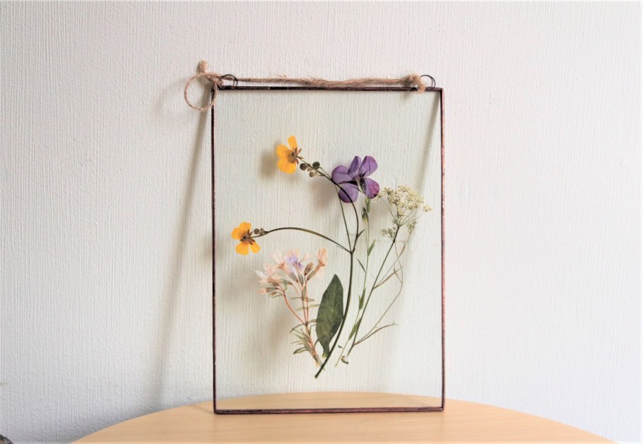 Гербарий в стекле