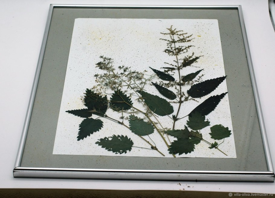 Гербарий в стекле в технике Тиффани