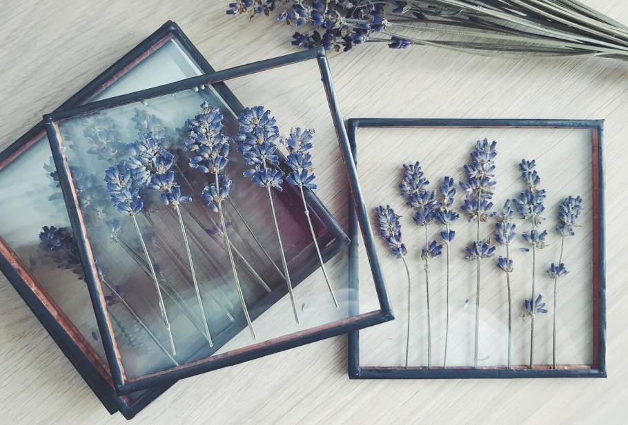 Витражи Тиффани гербарий