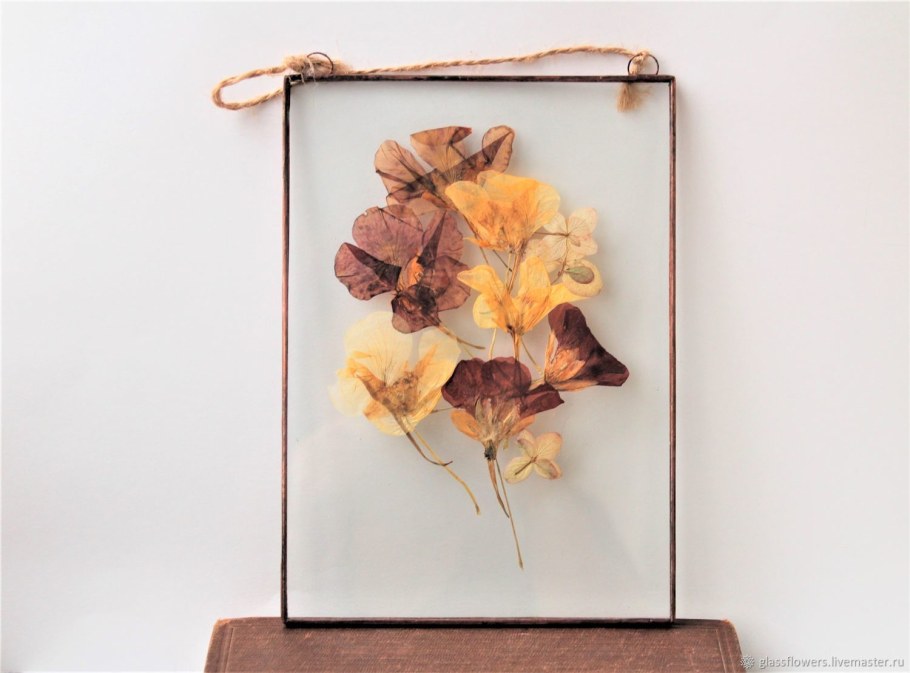 Гербариум в стекле