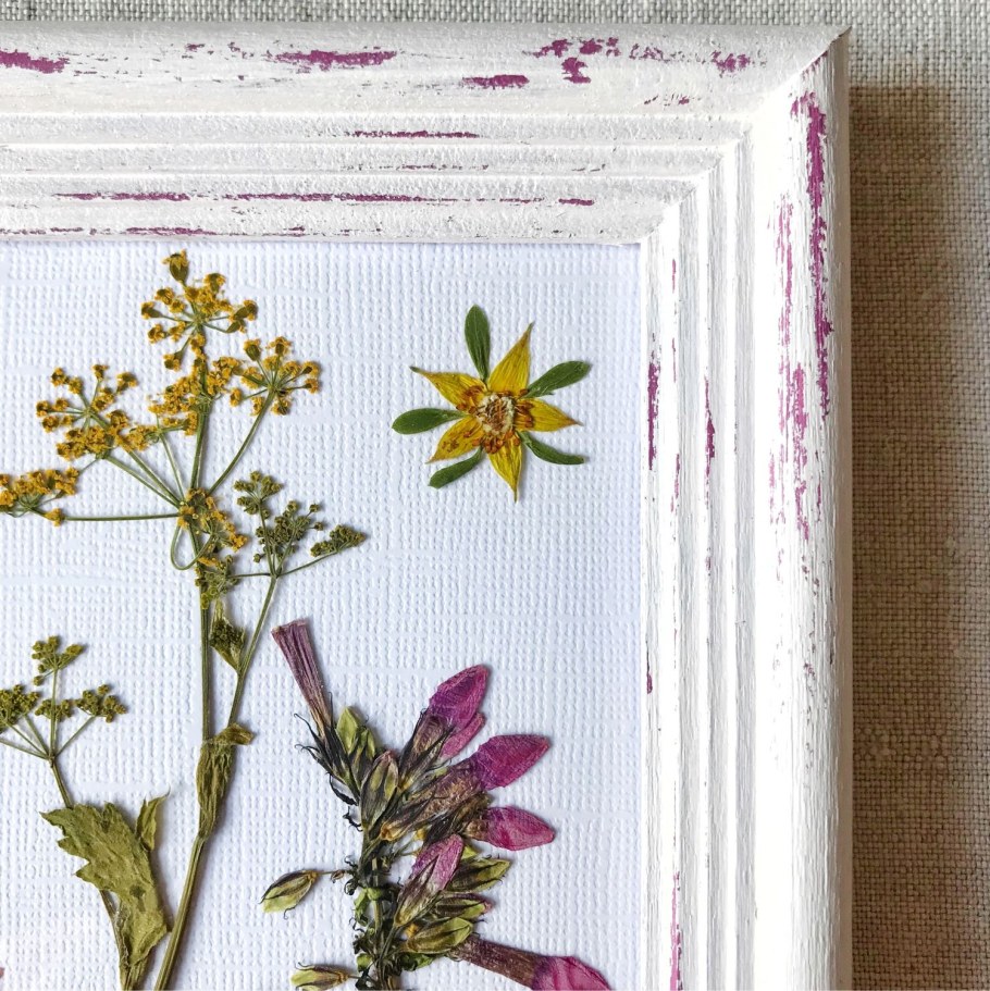 Гербарий в рамке под стеклом