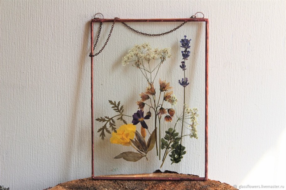 Сухие цветы в рамке под стеклом