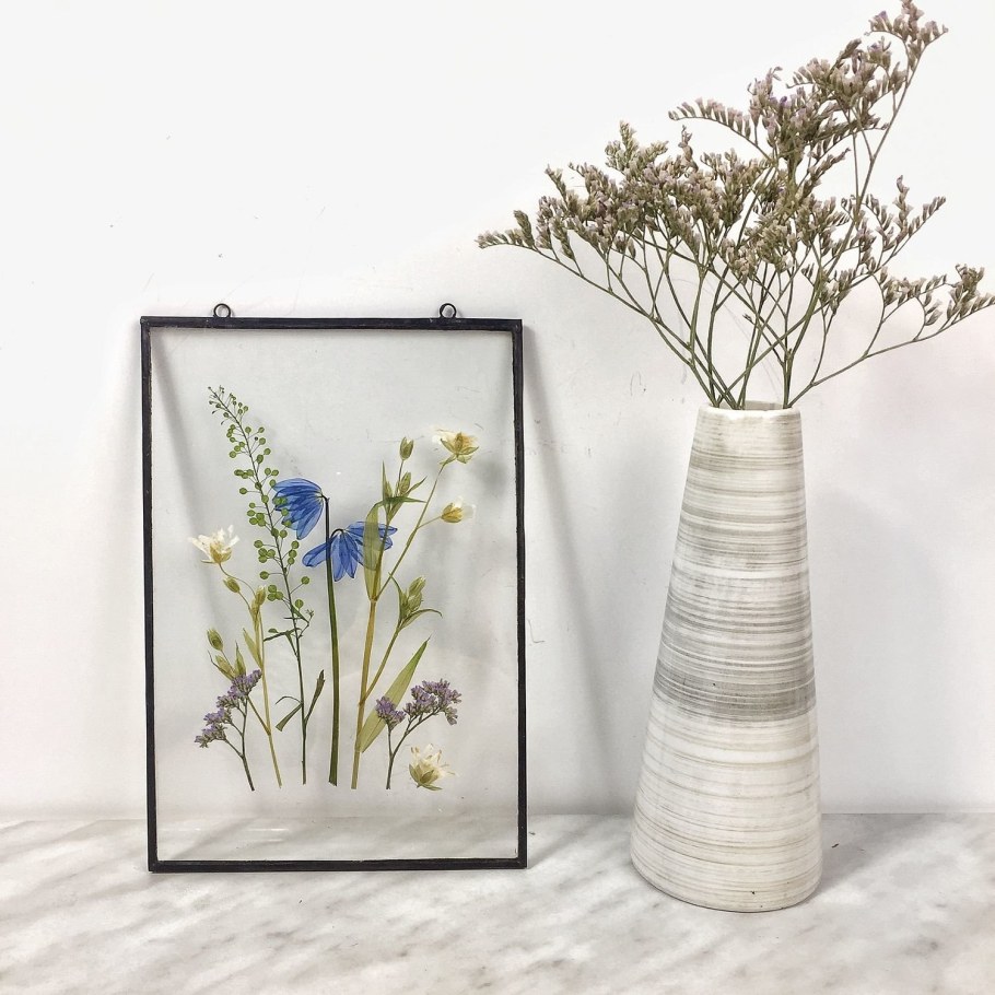 Гербарий в стекле