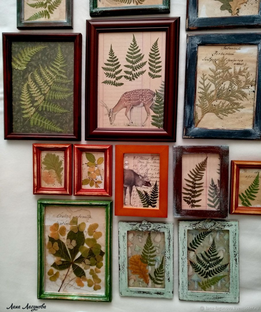 Настенный гербарий