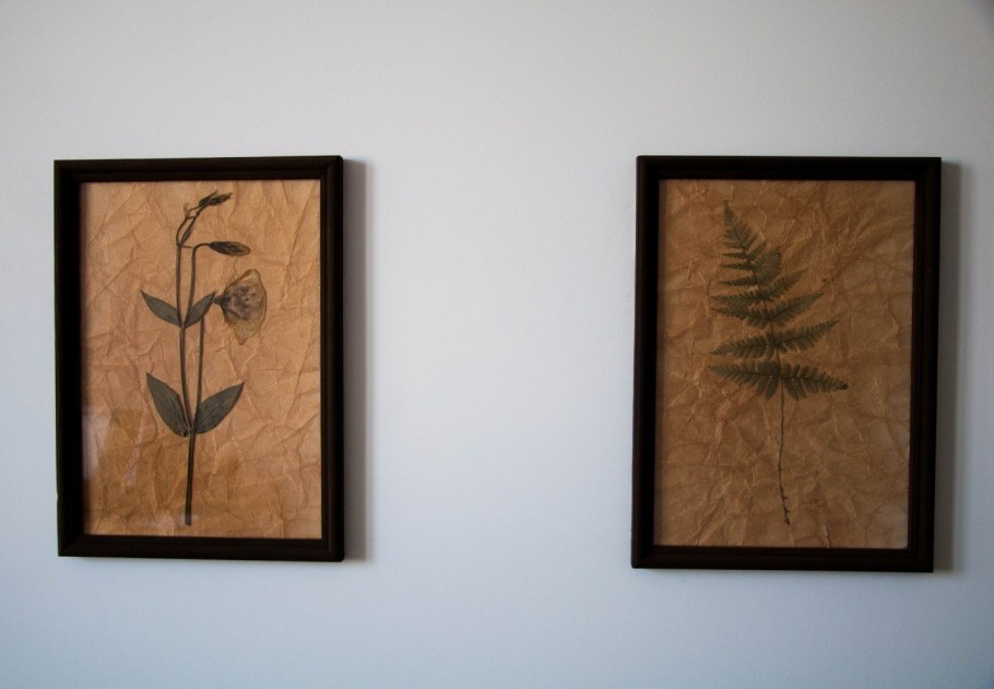 Настенный Гербариум