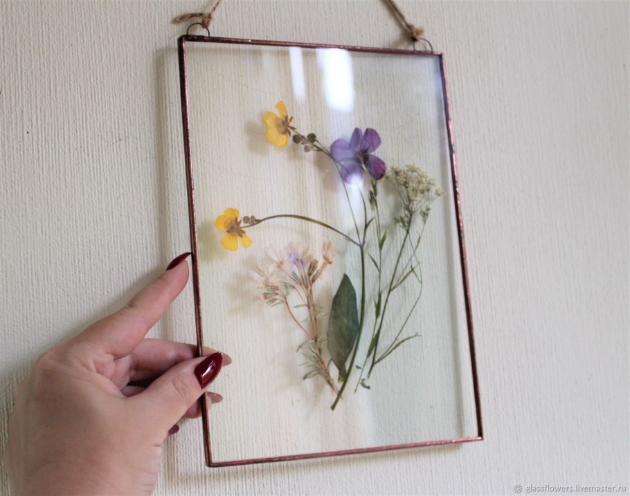 Гербарий под стеклом