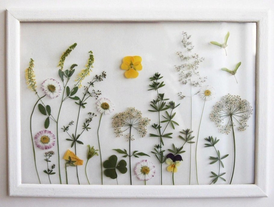 Гербарий под стеклом