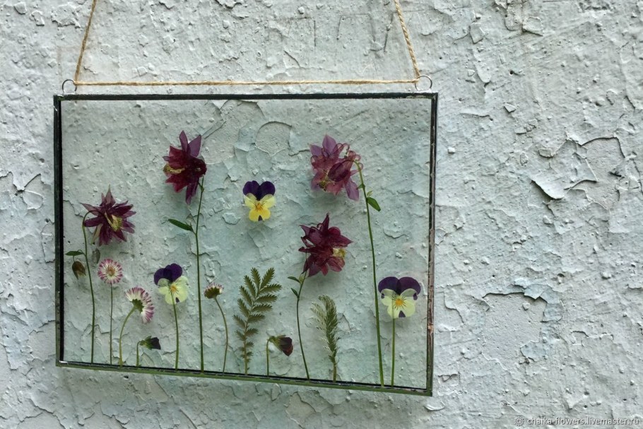 Засушенные цветы в рамке