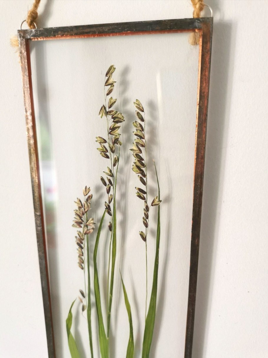 Гербарий в эпоксидной смоле