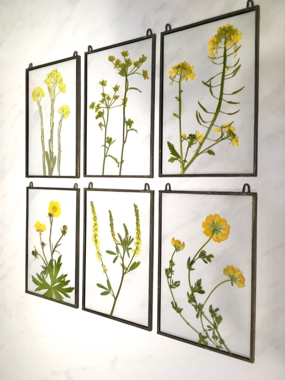 Гербарий Тиффани