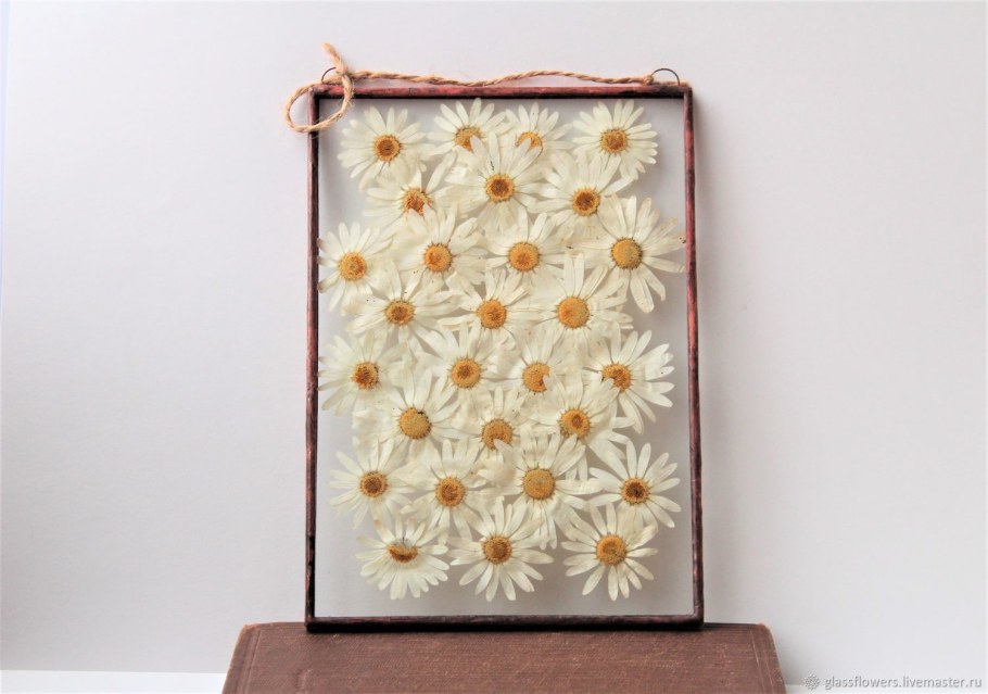 Эстетика ботаника гербарий