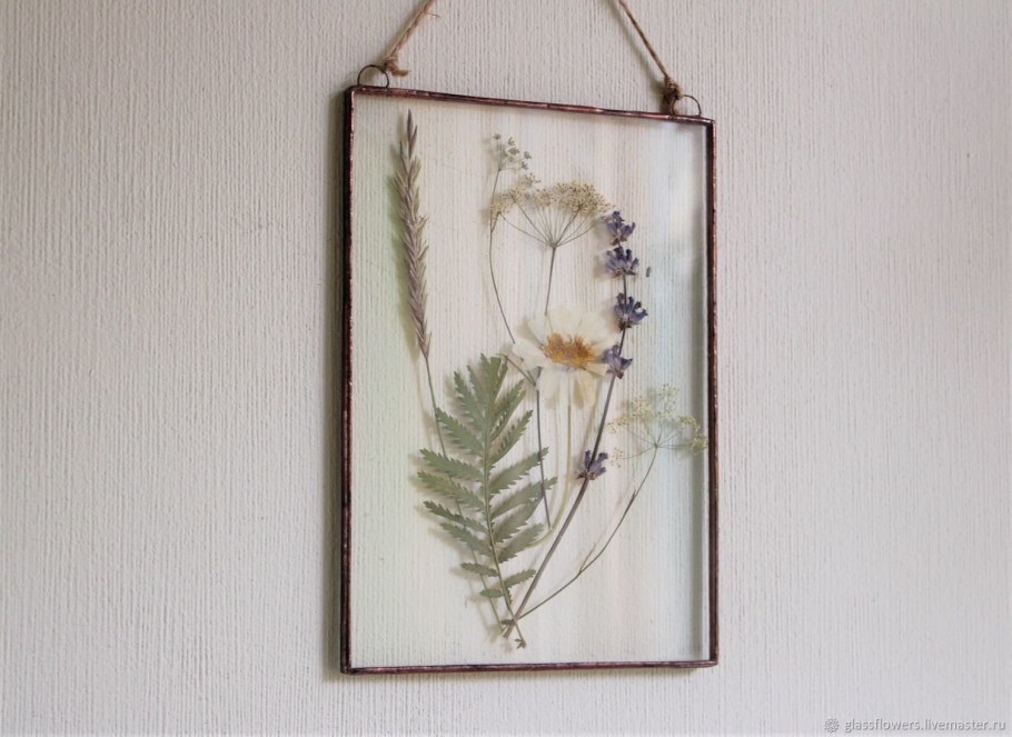 Прозрачная рамка для гербария