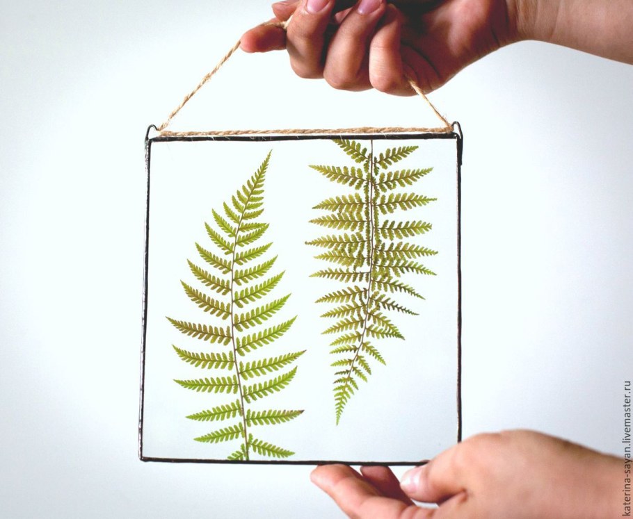 Фитокартины из сухоцветов