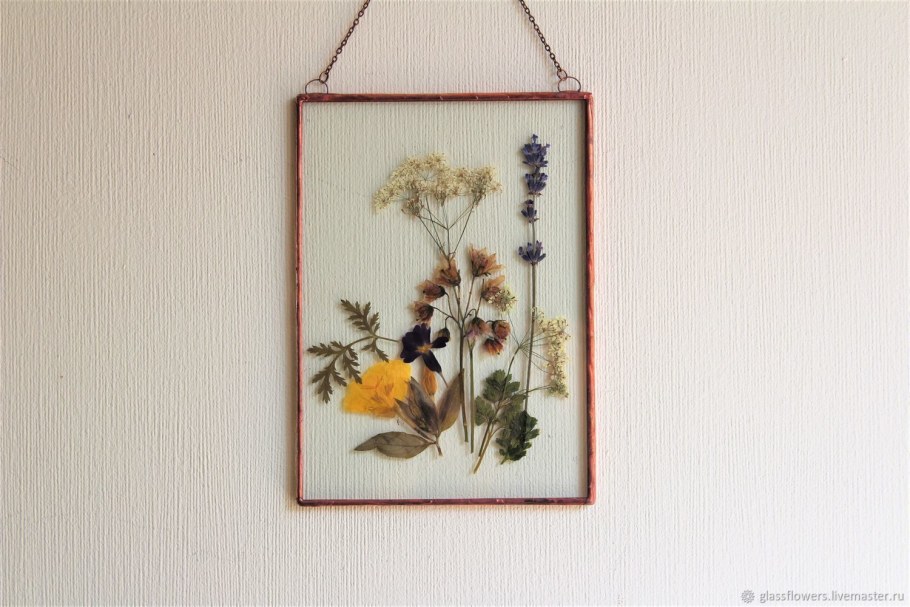 Гербарий в рамке