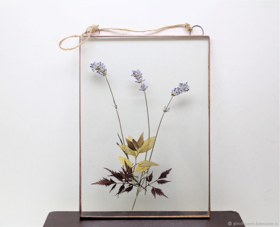 Гербарий в рамке под стеклом