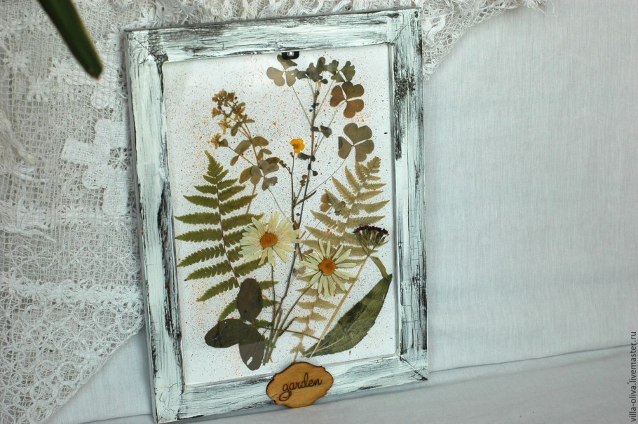 Папоротник гербарий