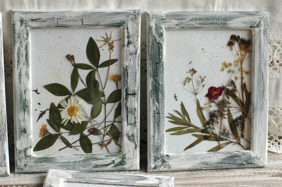 Гербарий из ромашек под стеклом